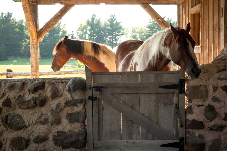 View More: http://ginabower.pass.us/valerietimwedding