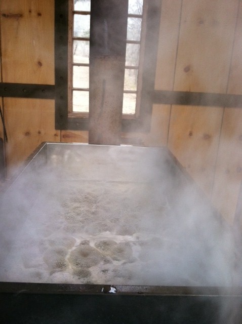 Sirop d'erable maison etape 6