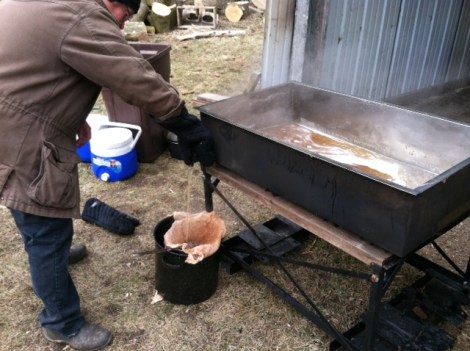 Sirop d'erable maison etape 8